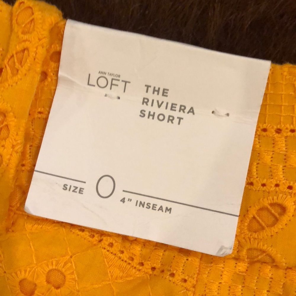 Ann Taylor Loft Riviera Short - Picture 3 of 4